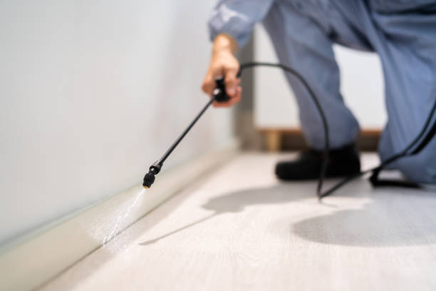 Professional Pest Control in West Pasco, WA